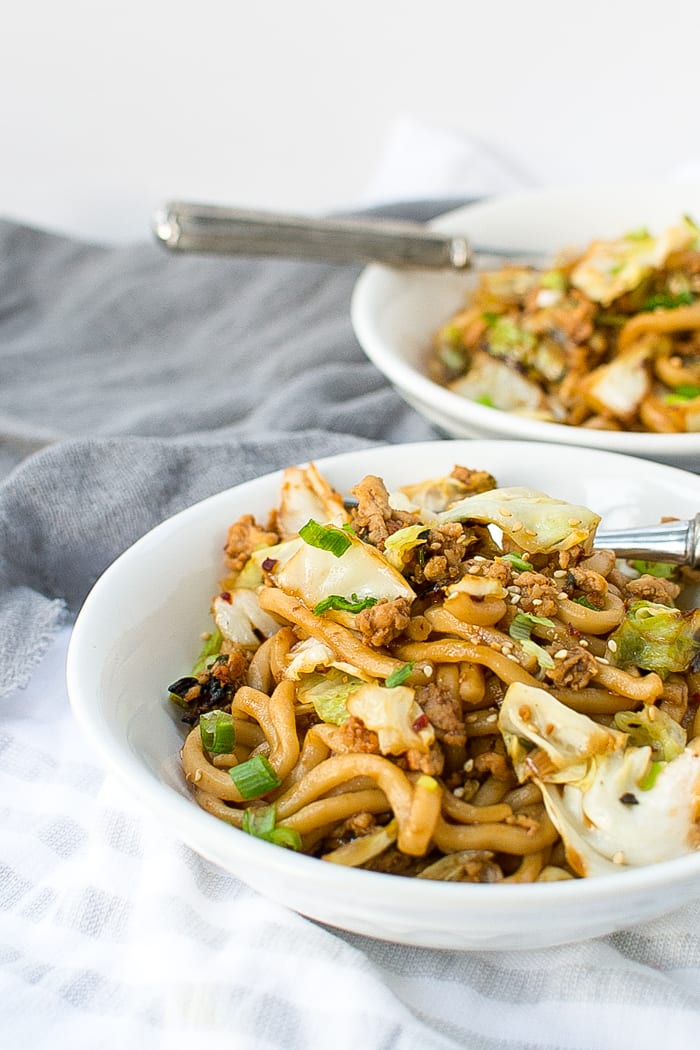stir-fried udon noodles - Appetites Anonymous