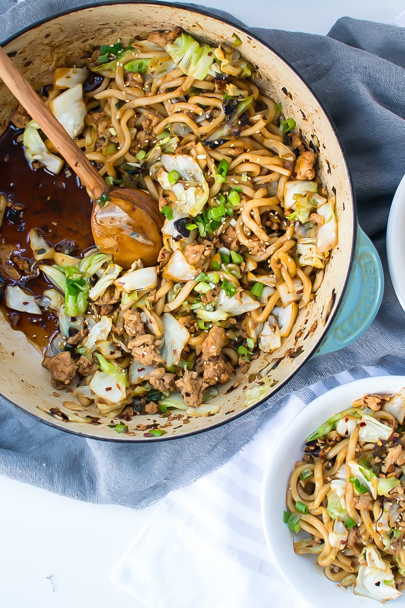 stir-fried udon noodles - Appetites Anonymous
