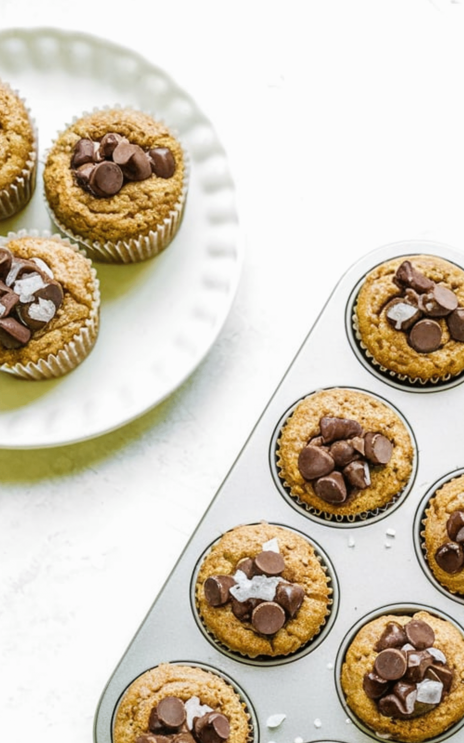 Chocolate Peanut Butter Mini Muffins