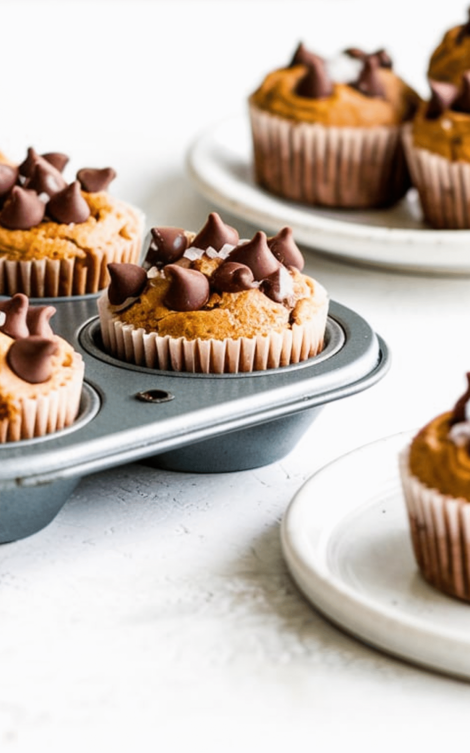 Chocolate Peanut Butter Mini Muffins