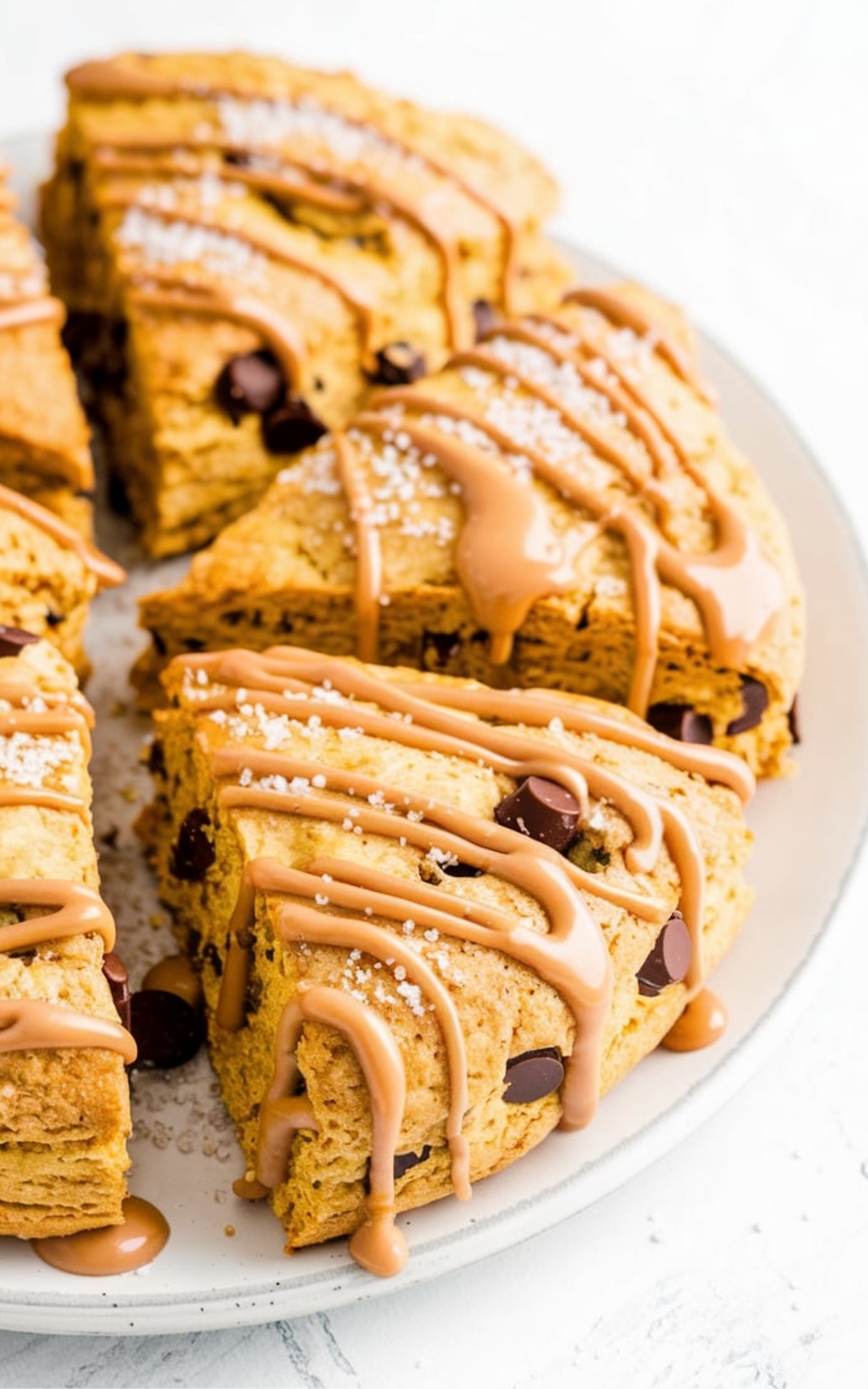 Cinnamon Peanut Butter Chocolate Chip Scones