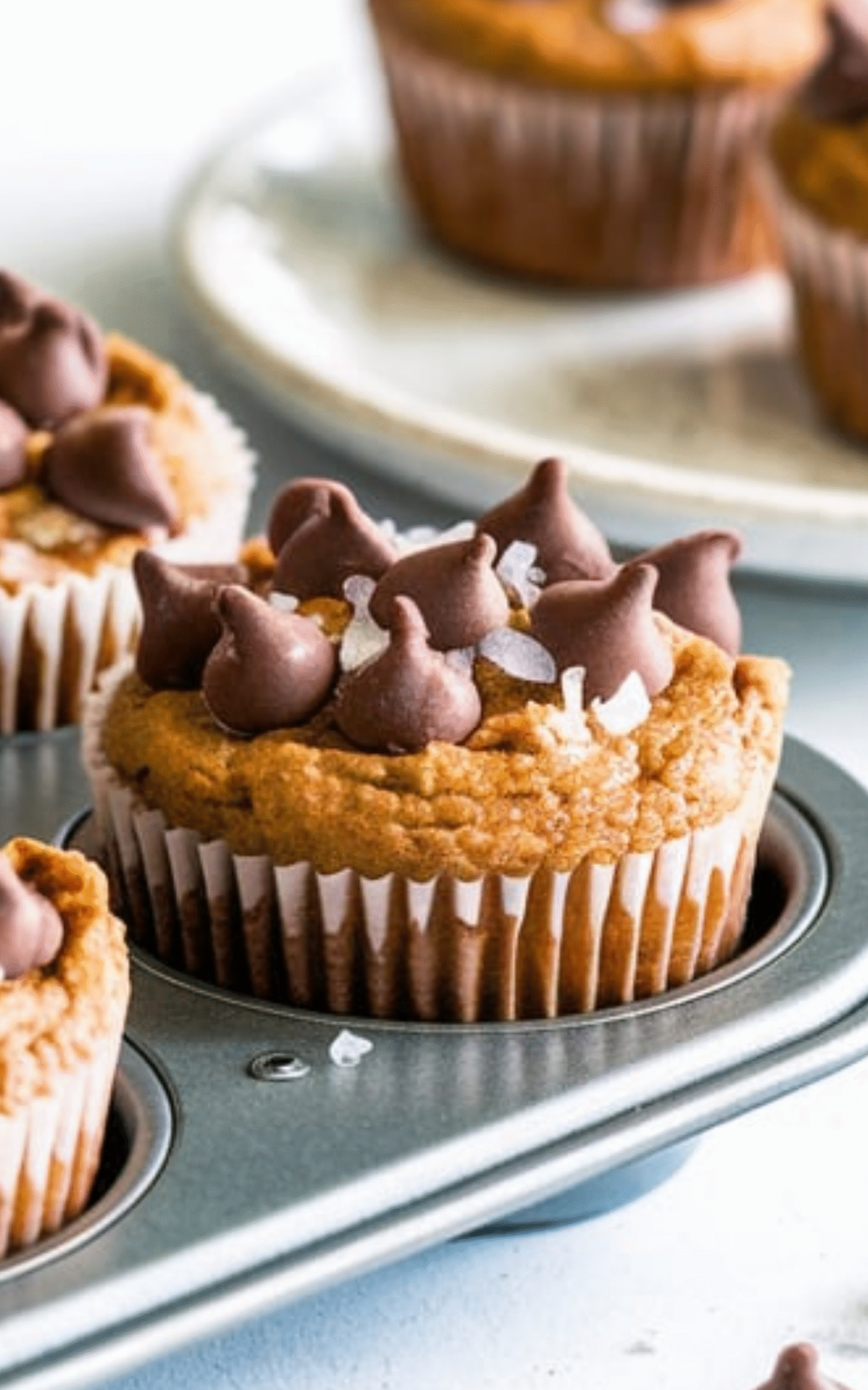 Chocolate Peanut Butter Mini Muffins